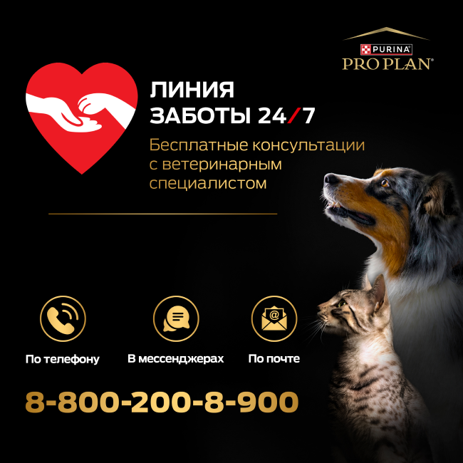 Влажный корм PRO PLAN® DERMA CARE для взрослых кошек для здоровья кожи и красоты шерсти, с треской в соусе, 85г