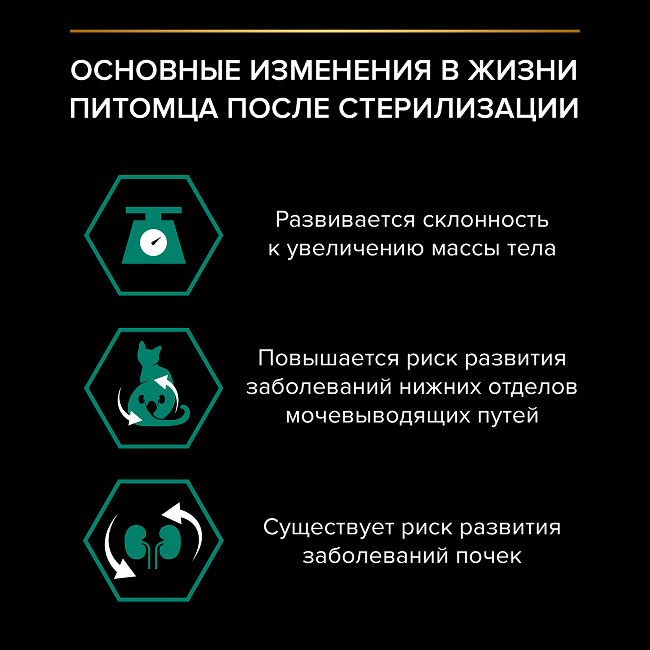 PRO PLAN® Sterilised Adult RENAL PLUS для взрослых стерилизованных кошек, с высоким содержанием лосося