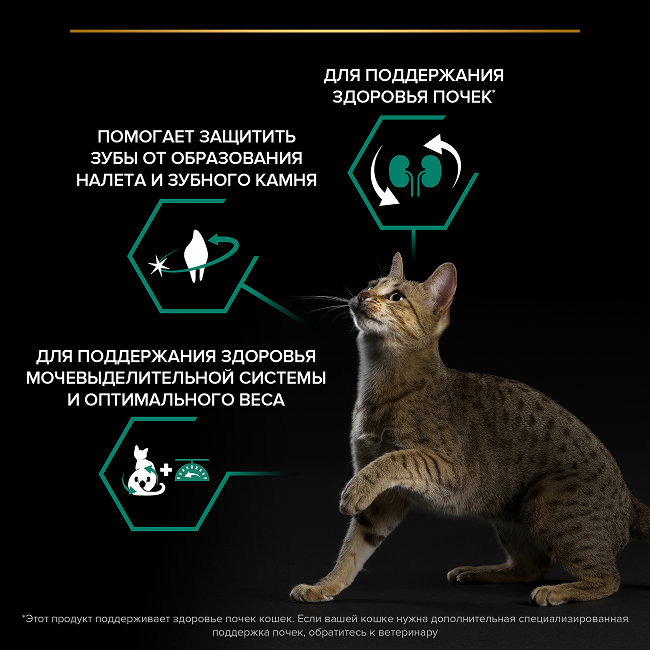 PRO PLAN® Sterilised Adult RENAL PLUS для взрослых стерилизованных кошек, с высоким содержанием лосося