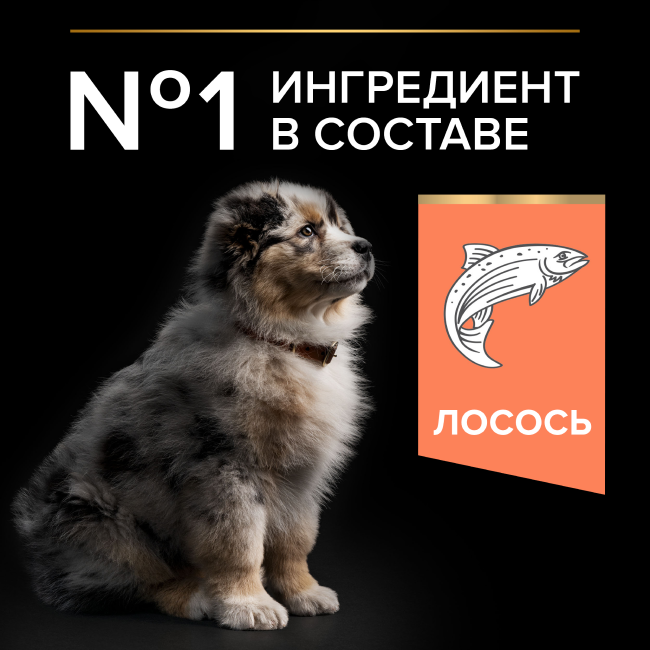 PRO PLAN® SENSITIVE SKIN для щенков средних пород с чувствительной кожей, с высоким содержанием лосося