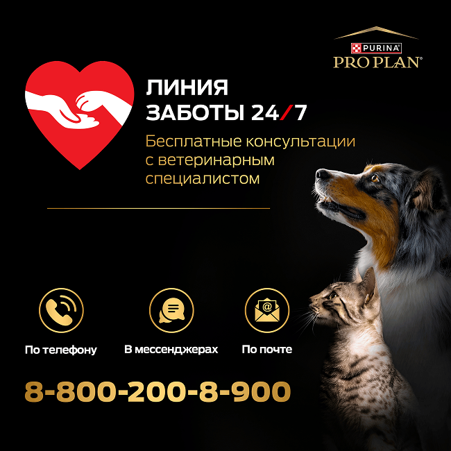 PRO PLAN® SENSITIVE SKIN для щенков средних пород с чувствительной кожей, с высоким содержанием лосося