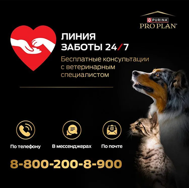 PRO PLAN® Sterilised RENAL PLUS для взрослых стерилизованных кошек для поддержания здоровья почек с кроликом
